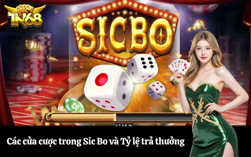 Các cửa cược trong Sic Bo và Tỷ lệ trả thưởng