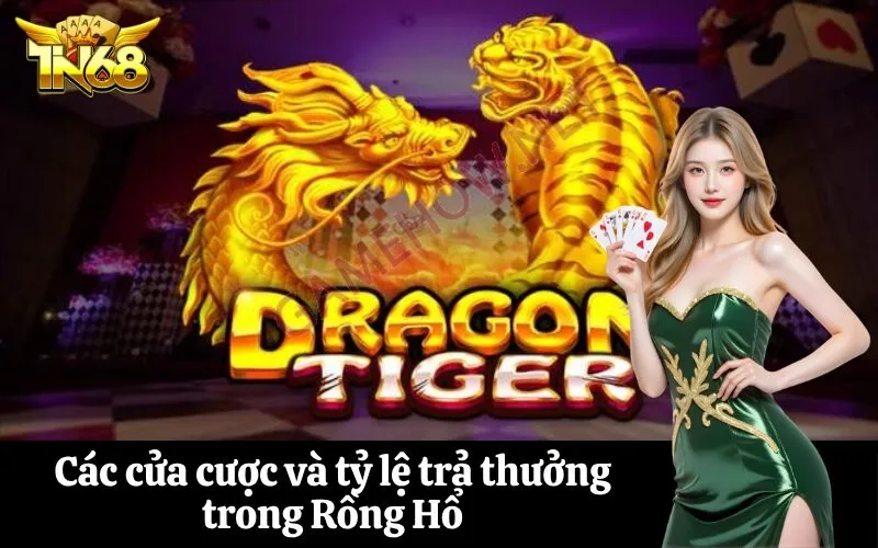 Các cửa cược và tỷ lệ trả thưởng trong Rồng Hổ