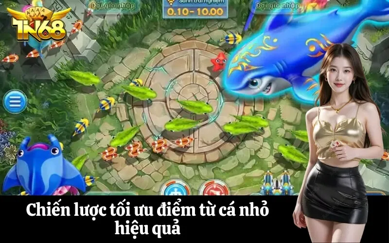 Chiến lược tối ưu điểm từ cá nhỏ hiệu quả