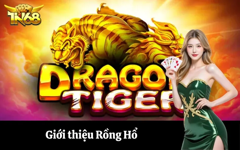 Giới thiệu Rồng Hổ